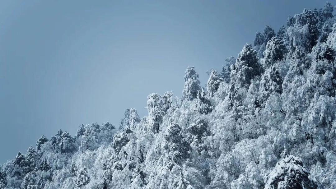 上门入户查隐患